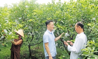 Từ làng truyền thống đến... thôn thông minh